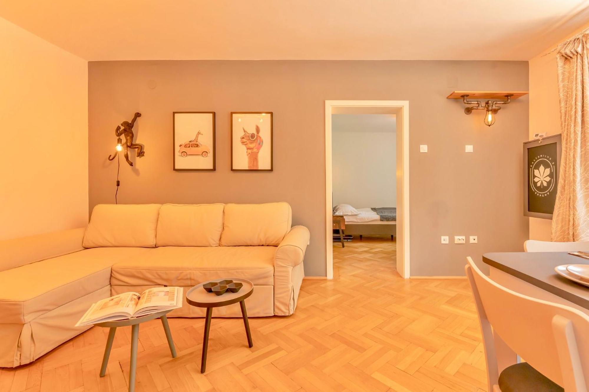 Castanilor 6 - Hip Industrial Apartment Close To City Centre Brasov Ngoại thất bức ảnh
